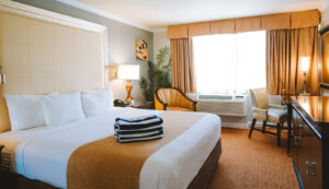 King Bed Studio Room