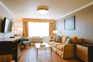 Living Room Area - 1 BR Suite